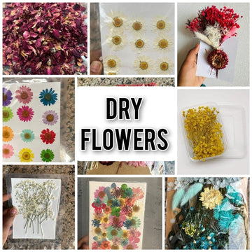 Dry Flowers