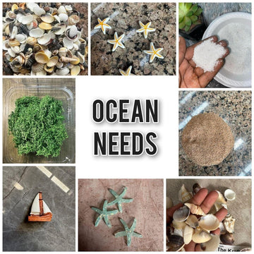 Ocean Needs