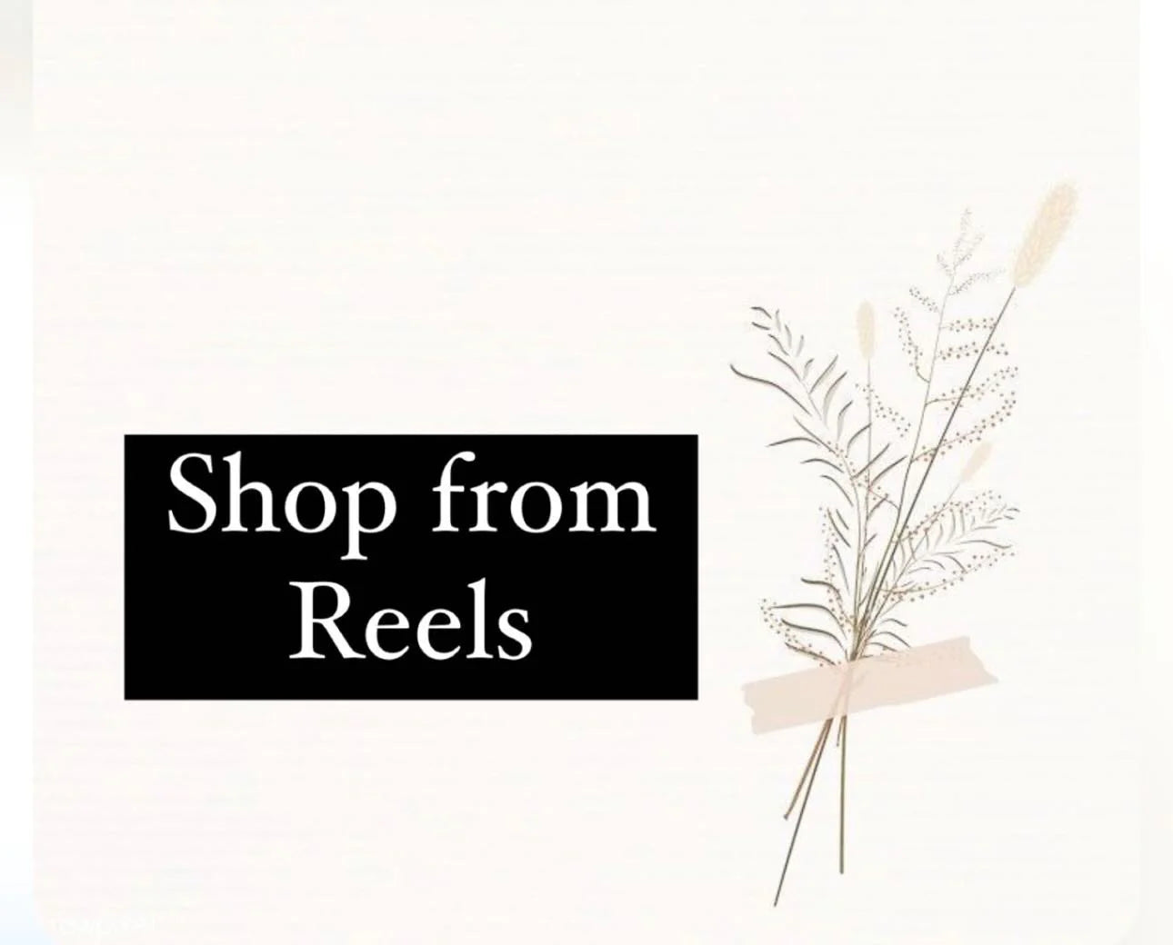 Shop from reels