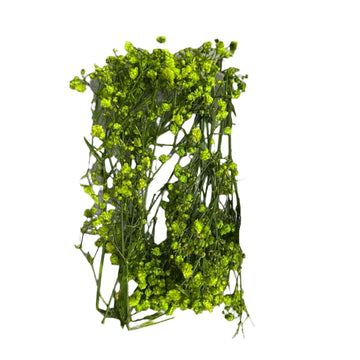 Gypsy flower box green