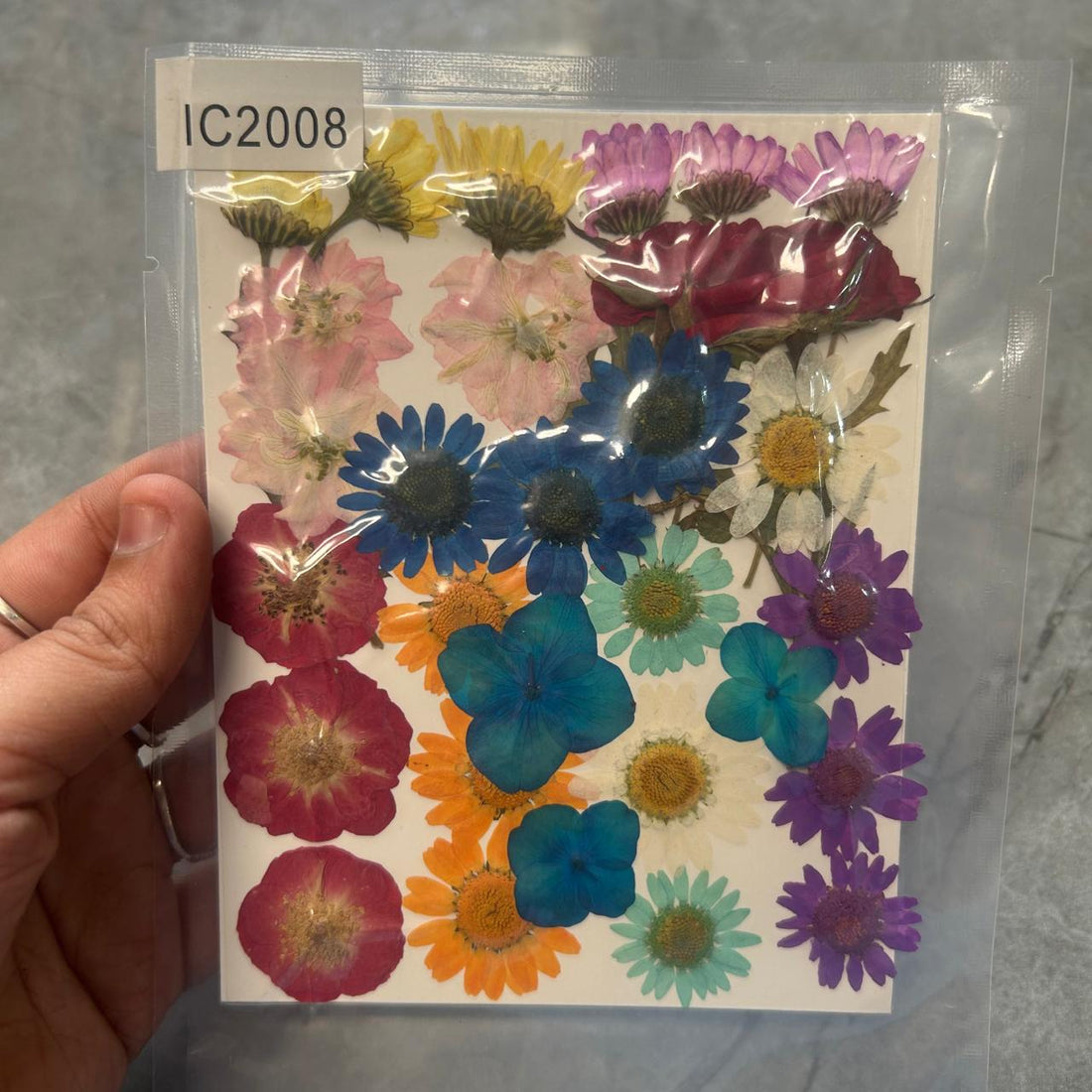 Dry flower pack C