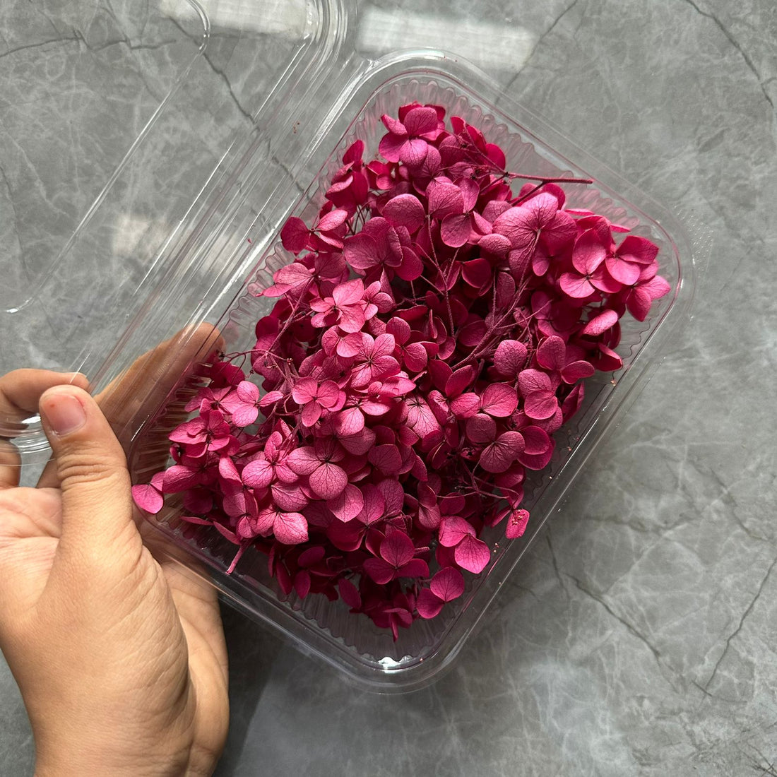 Magenta Hydrangea flower box