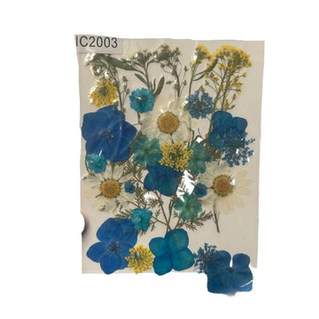 Dry flower pack blue