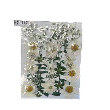 Dry flower pack L