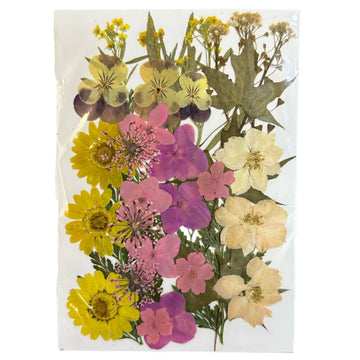 Dry flower pack A41