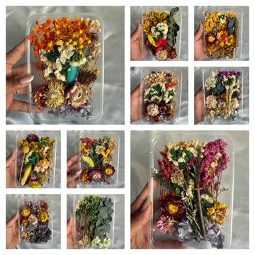 Dry Flower Box random