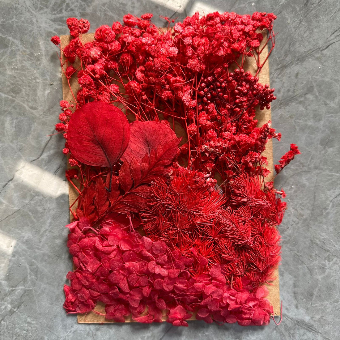 Dry flower pack all red