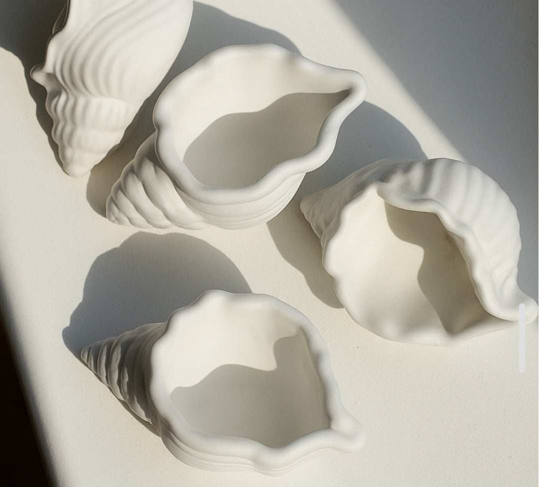 Sea shell candle holder