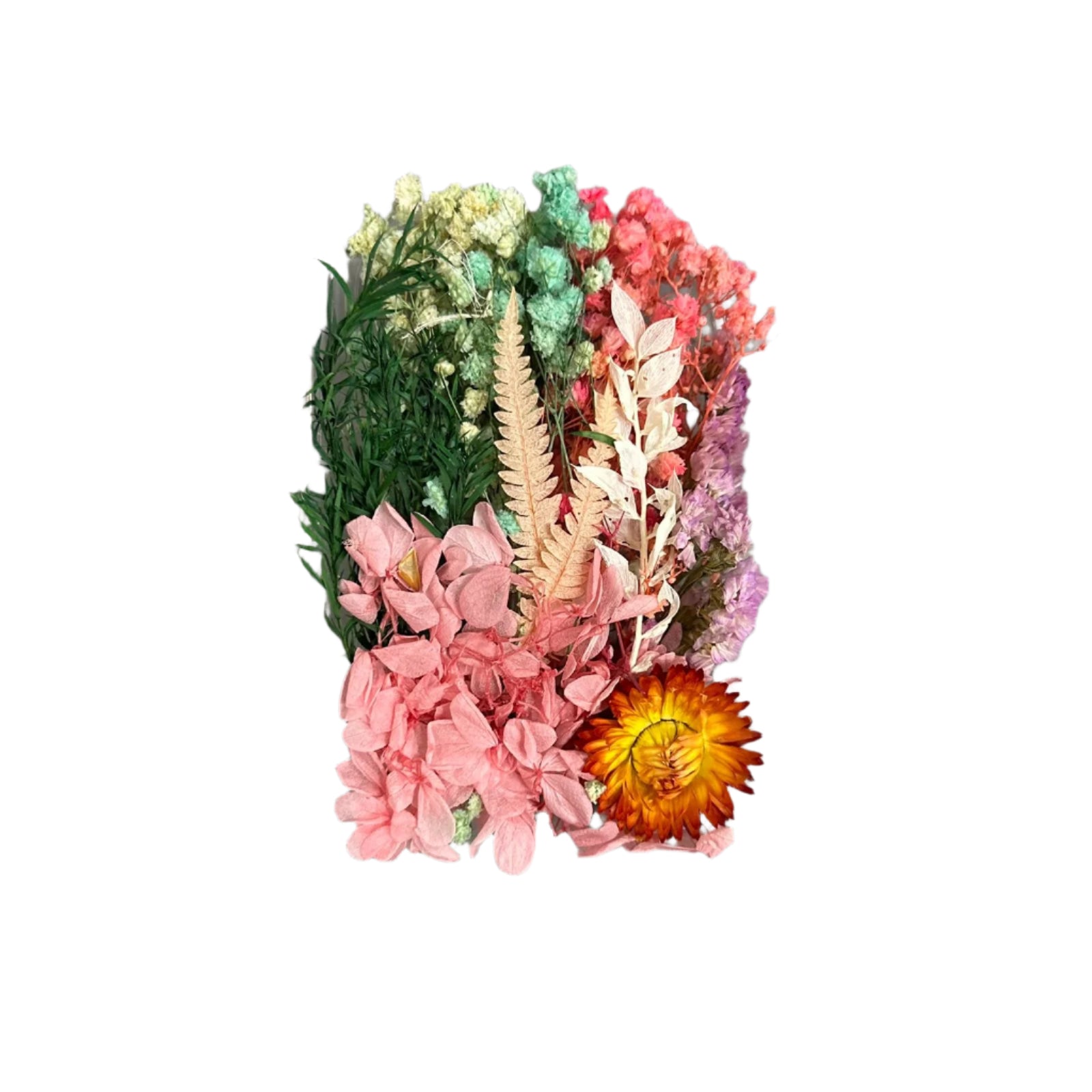 Dry flower box multi pastel