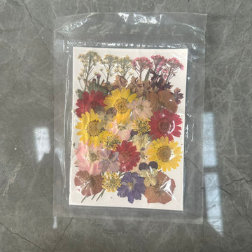 Dry flower pack 004