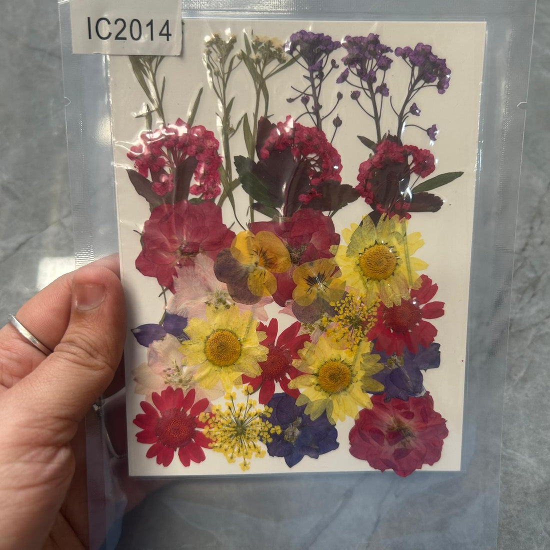 Dry flower pack H