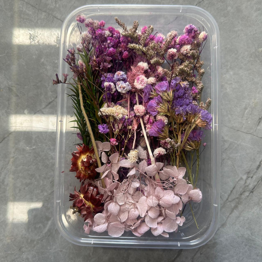 Dry flower box Purple