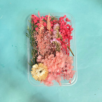 Dry flower box pink