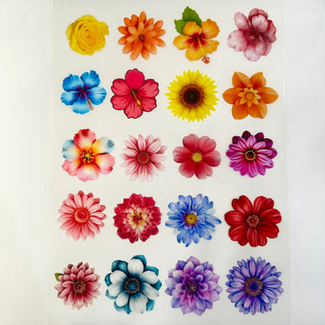 Flower insert sheet 004