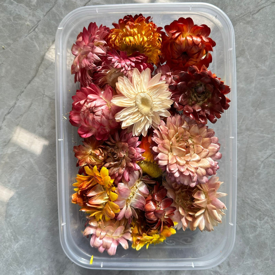 Chrysanthemum flower box