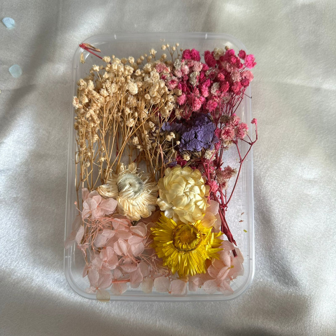 Dry flower box D