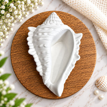 Big sea shell concrete jar
