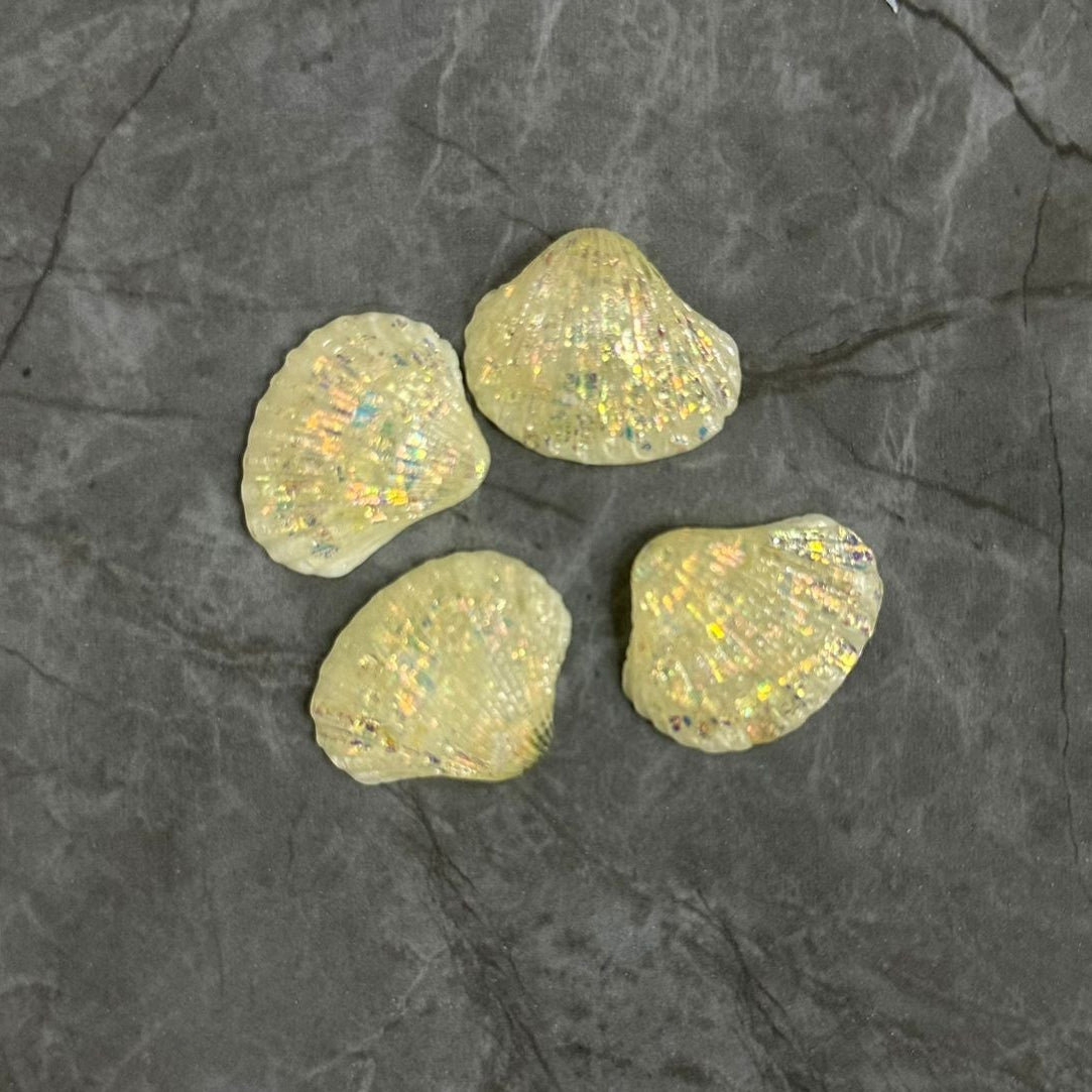 Miniature small shells cream