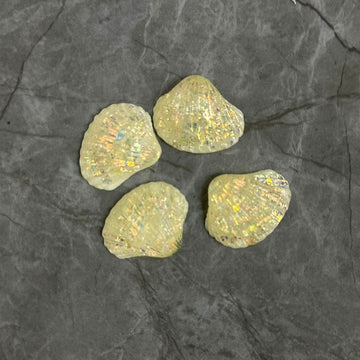 Miniature small shells cream