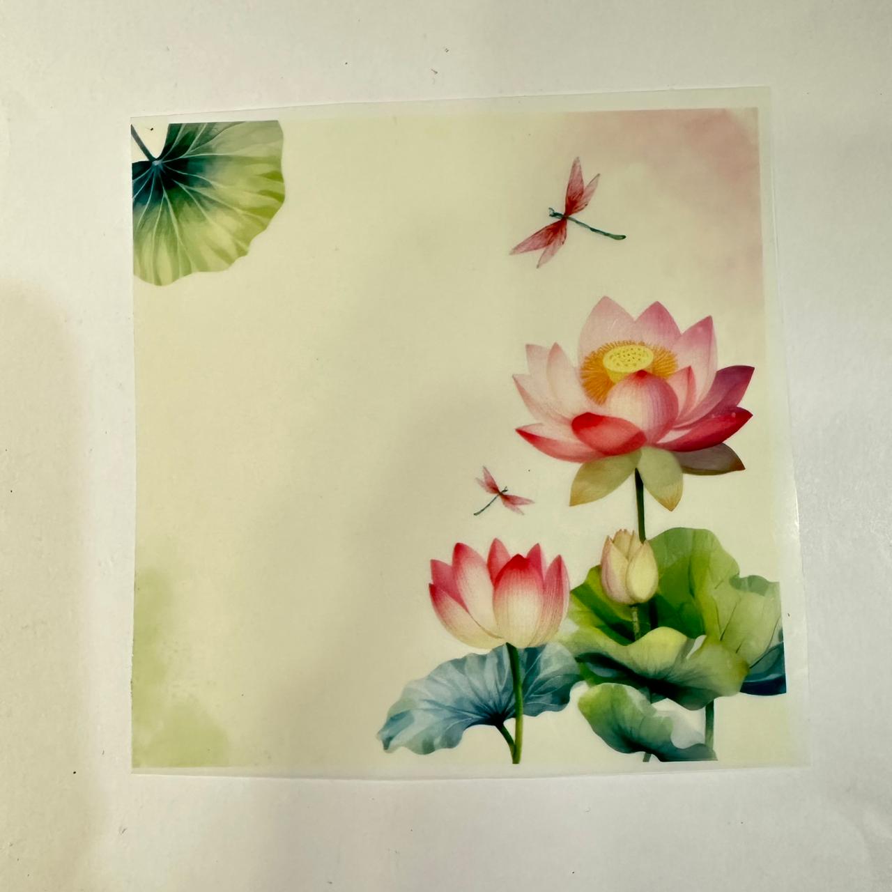 Coin platter Insert sheet M