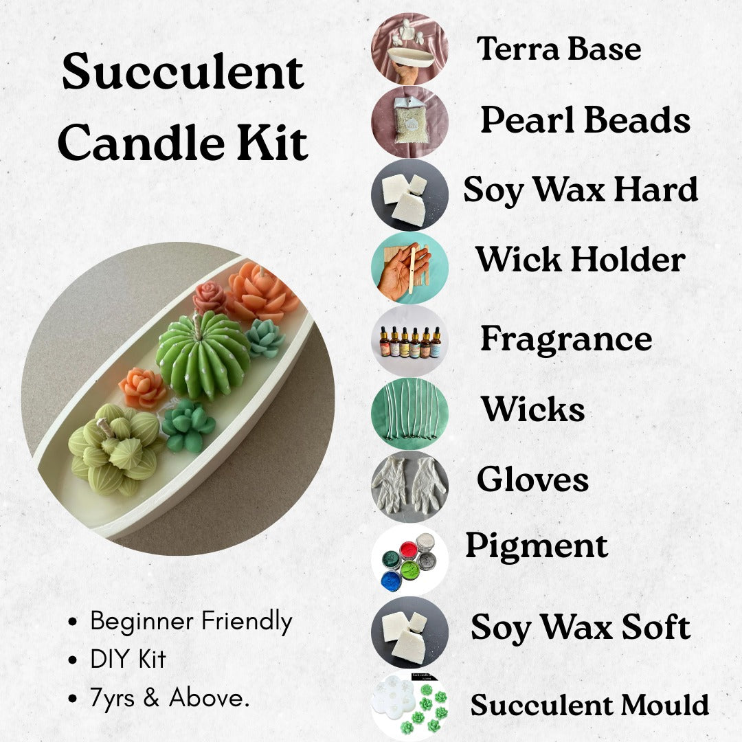 Succulent candle kit