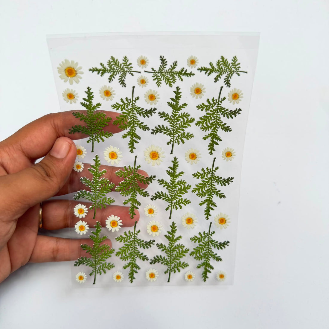 Samll daisy & leaf peel off sticker sheet A6