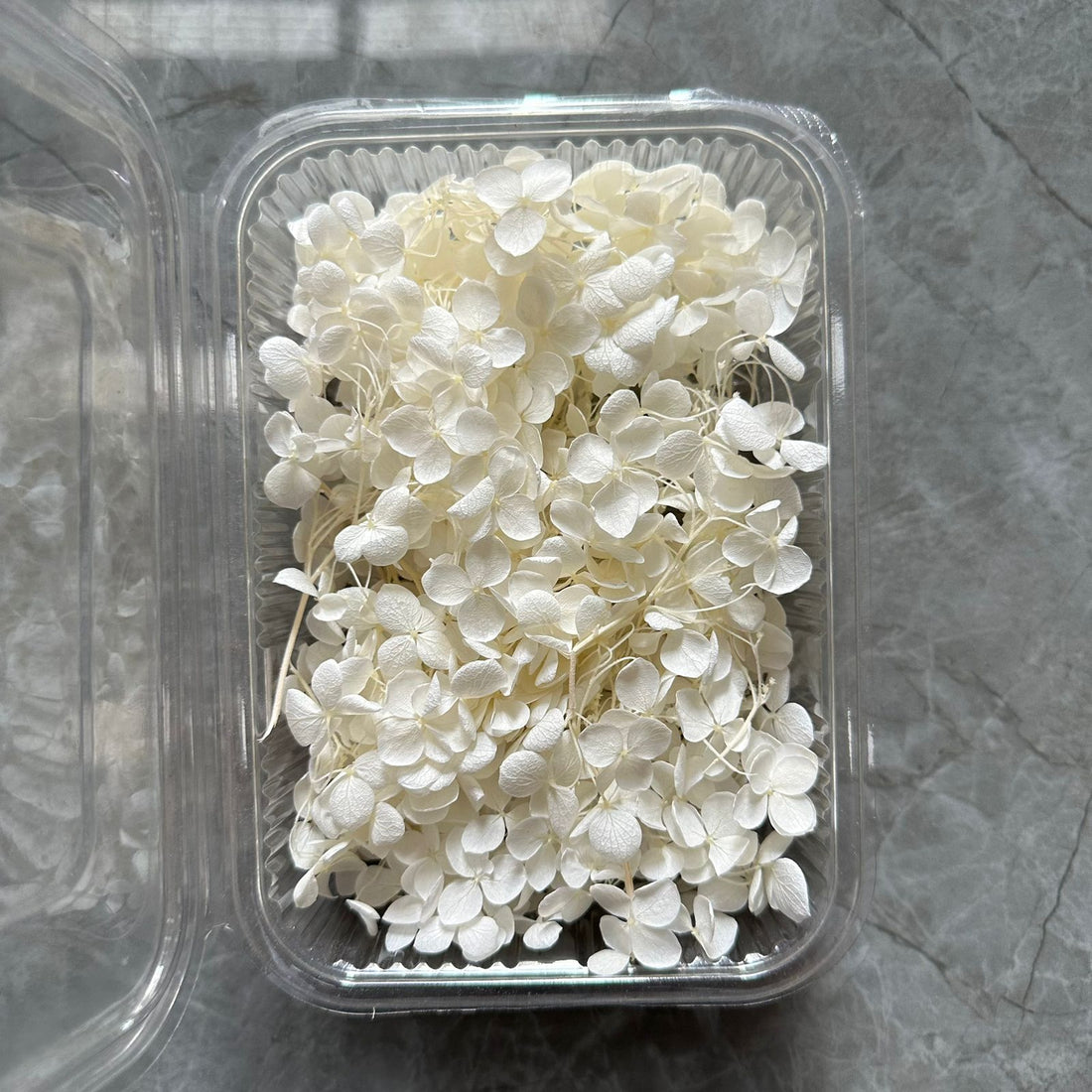 White Hydrangea flower box