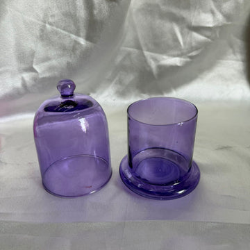 Purple Glass bell jar