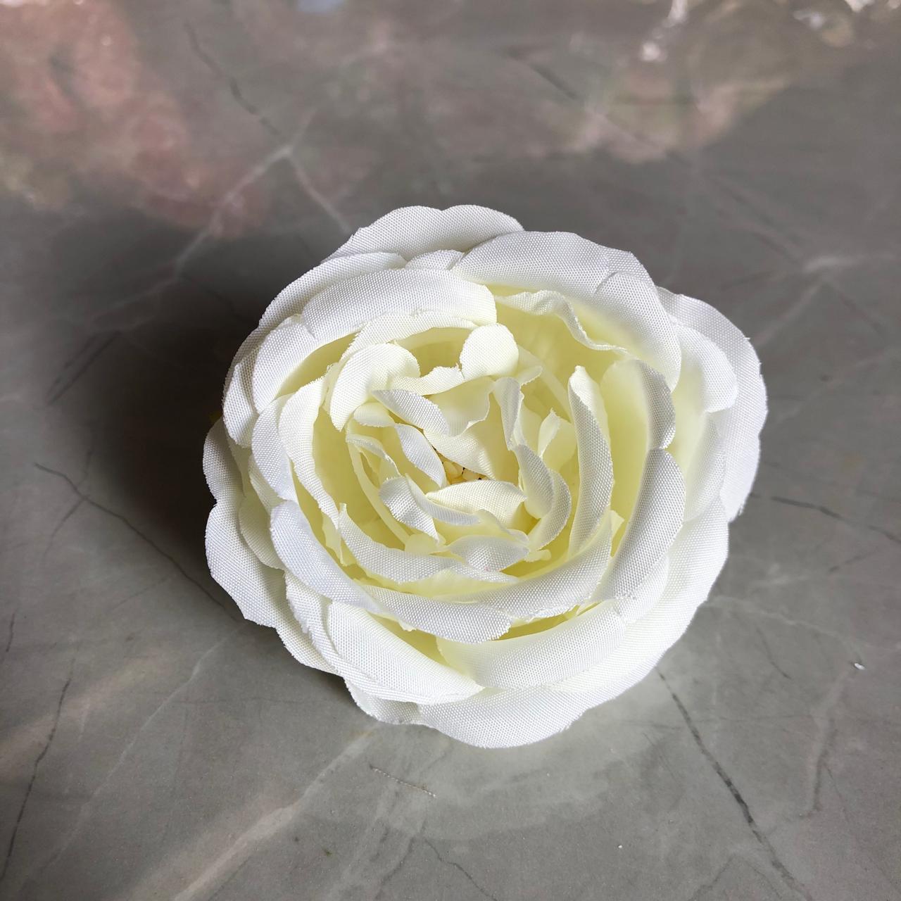 White rose flower