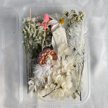 Dry flower box E