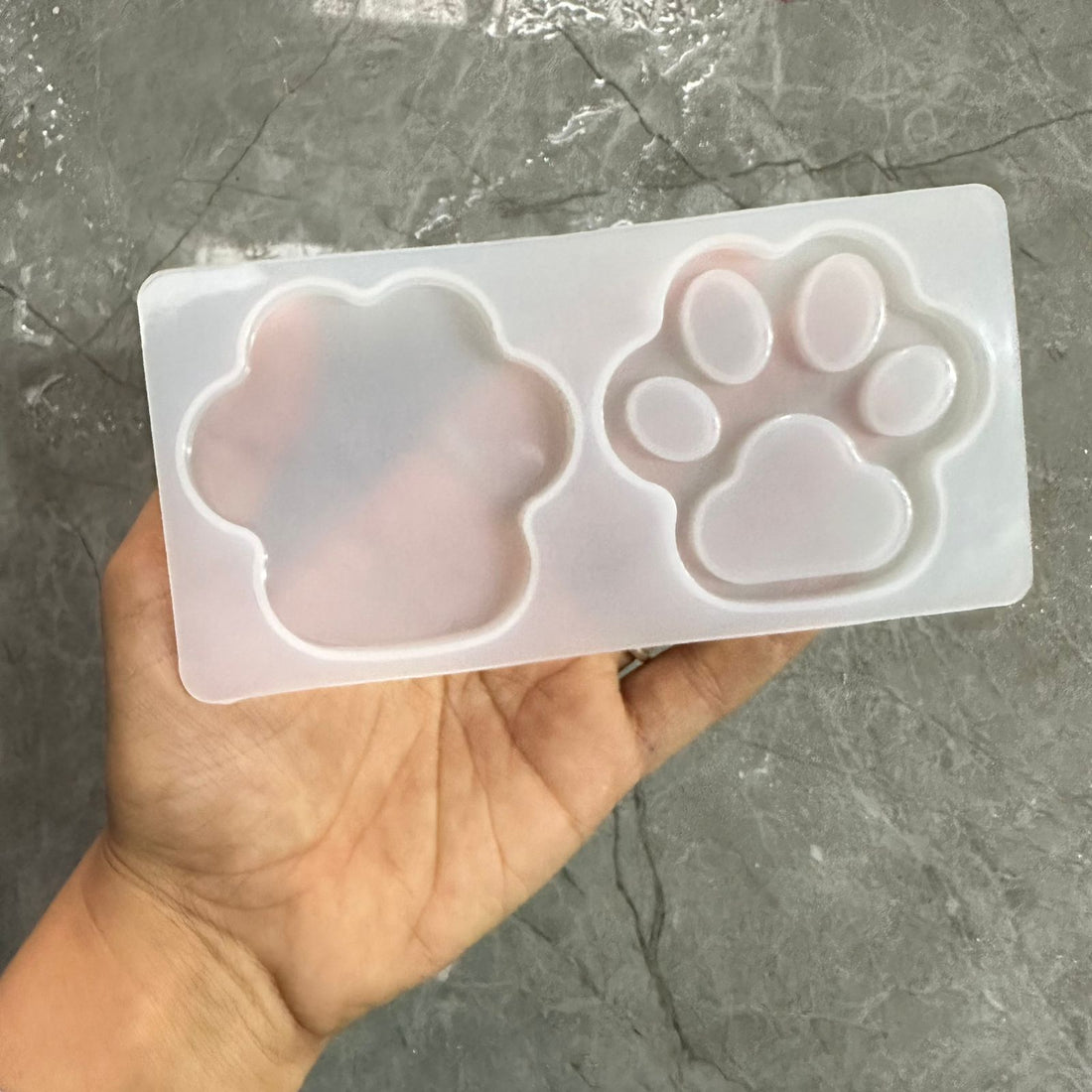 2 in 1 paw mould