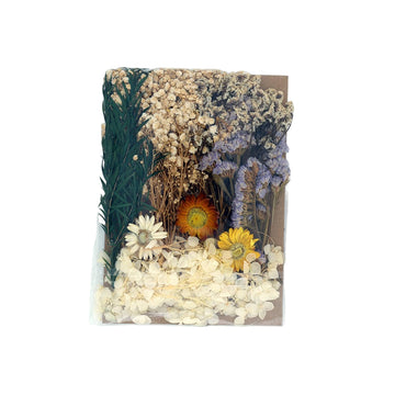 White dry flower pack