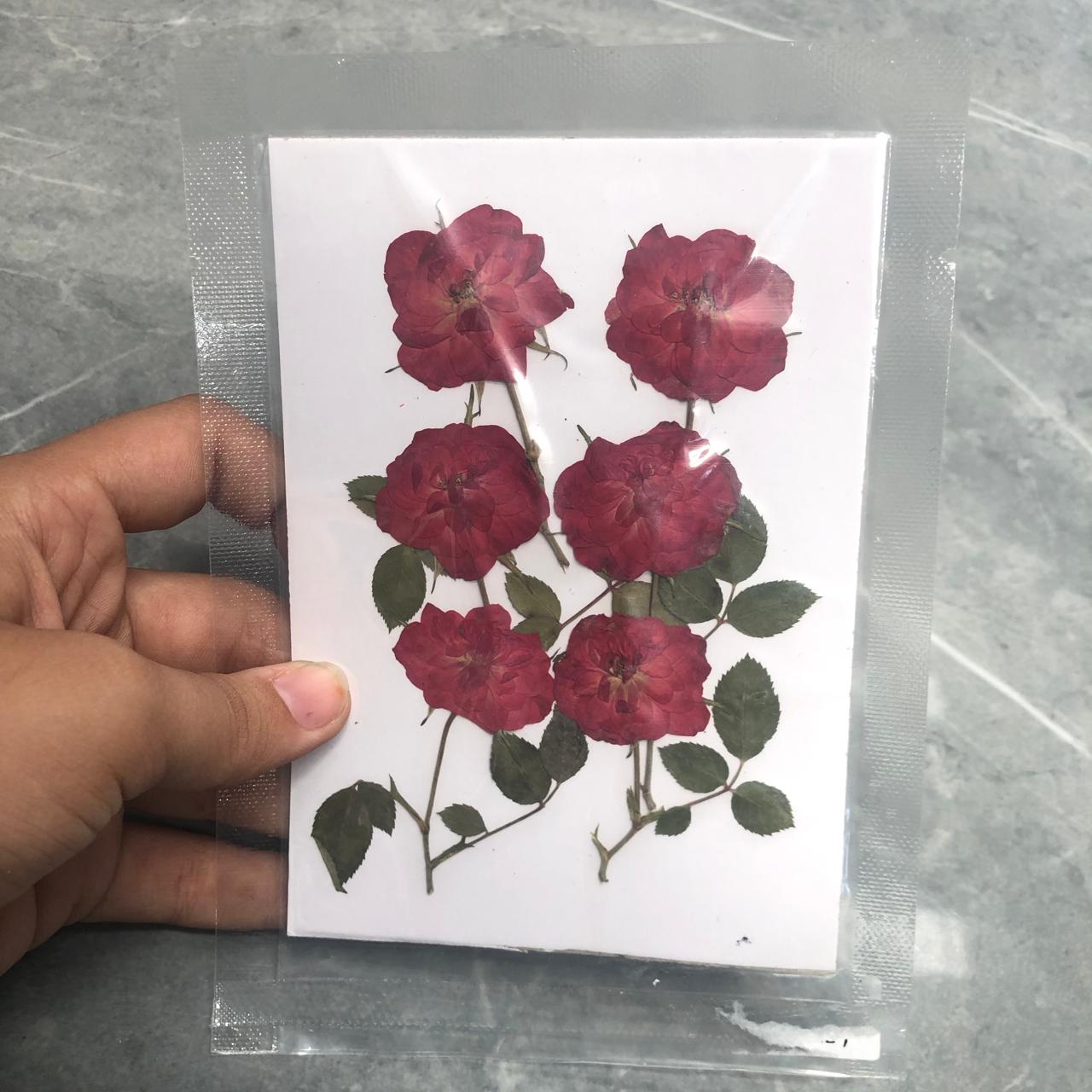 Dry flower pack sc33