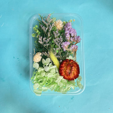 Dry flower box green