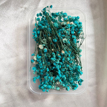 Peacock blue Gypsy box