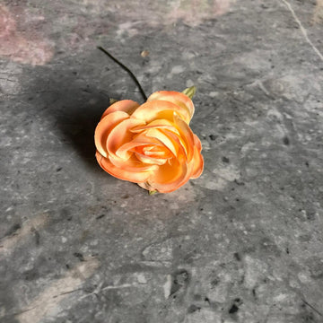 Peach orange flower