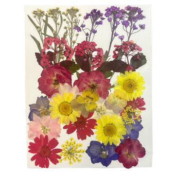 Dry flower pack A16
