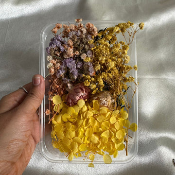 Dry flower box H