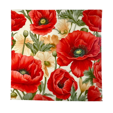 Coin platter Insert sheet O