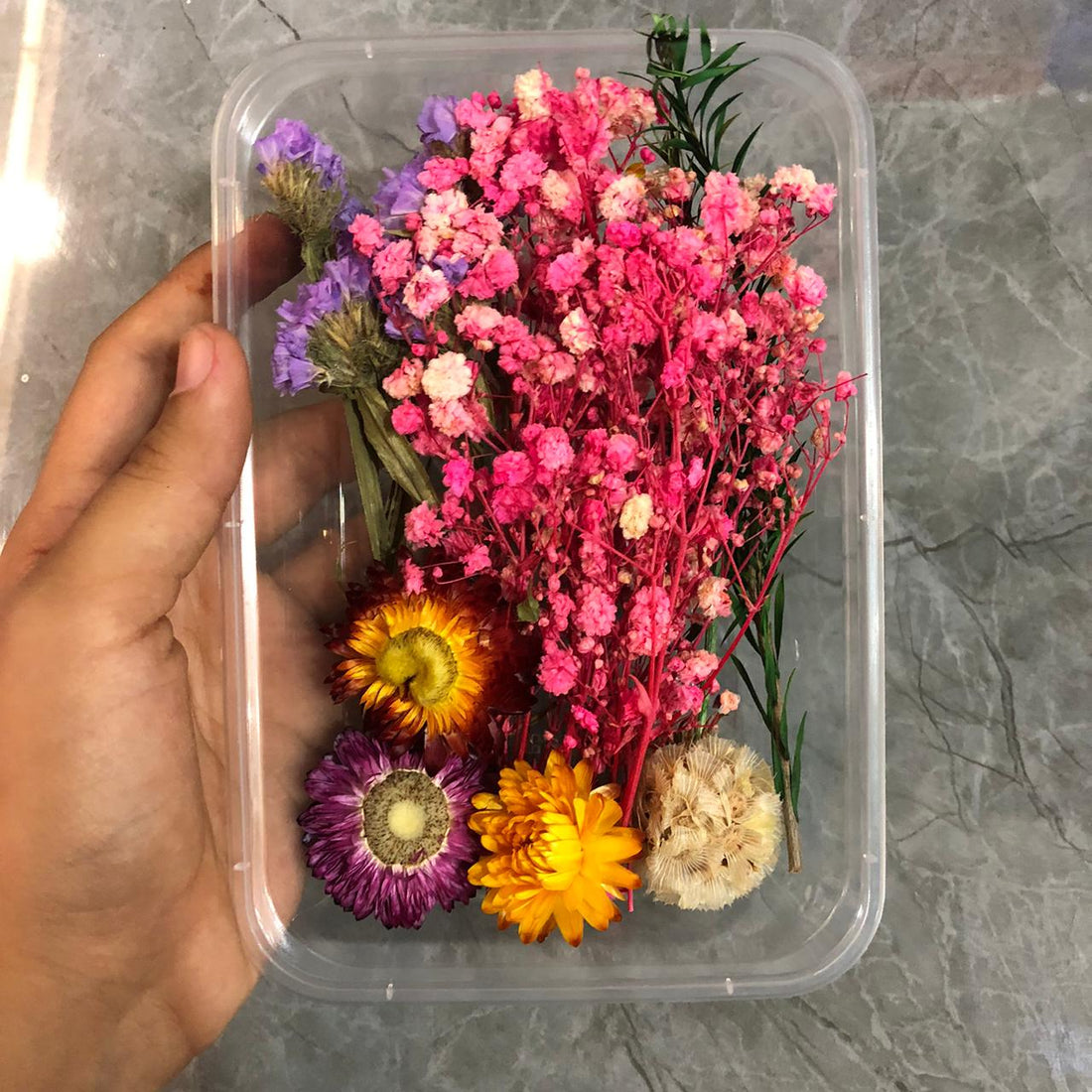 Dry flower box DD