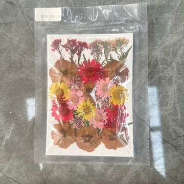 Dry flower pack 005