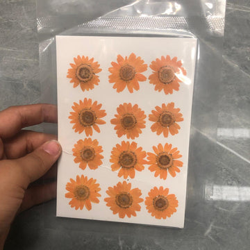 Dry flower pack sc18