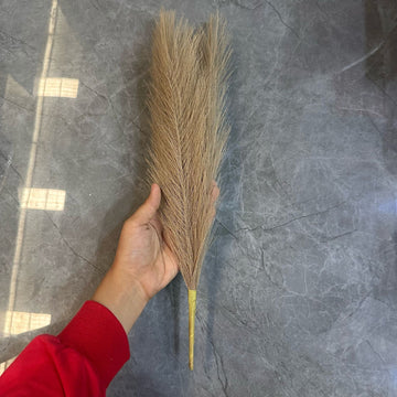 Brown Pampus for loop