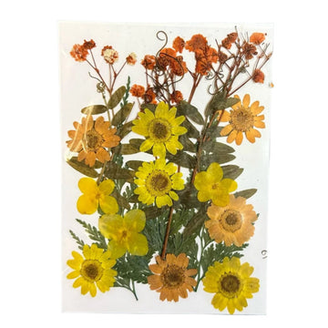 Dry flower pack A39