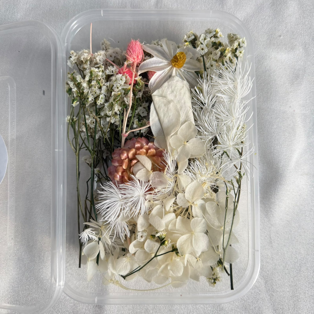 Dry flower box E