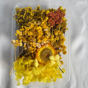 Dry flower box N