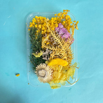 Dry flower box yellow