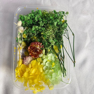 Dry flower box I