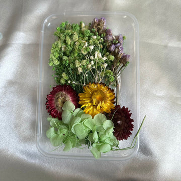 Dry flower box C
