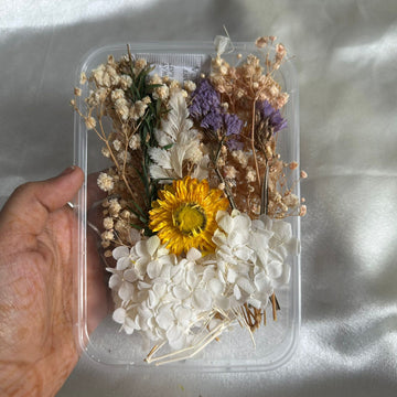 Dry flower box K